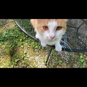 Meet your Posher, Marley